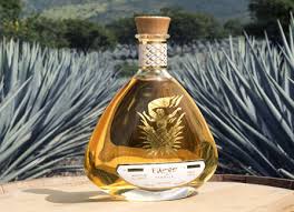 Fuego Anejo 100% Agave Tequila – Wine Delight
